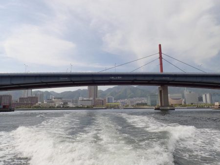 ライトワインドで爆釣の夜♪